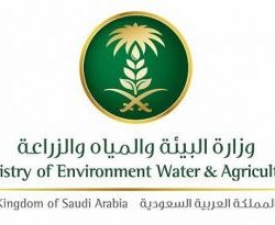 ” البيئة” تعلن عن توفر 170 وظيفة بنظام التعاقد للسعوديين رجالًا ونساءً