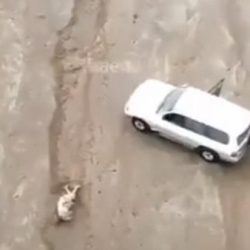 فيديو.. سيارة تصطدم بنخلة بمكة.. والدفاع المدني يتدخل لقص الحديد وإنقاذ المصابين