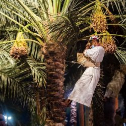 مهرجان عروس الباحة يكرم فرع هيئة الأمر بالمعروف في ختام فعالياته
