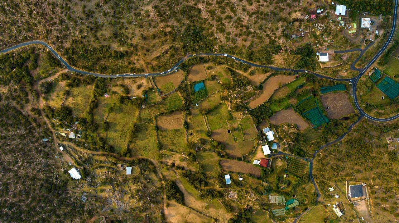 أفضل الأمكان في صيف الطائف سفاري ونسيم الشفا وحديقة الردف 5 7d5174b8 8c33 4228 91ae ade9f081fefb