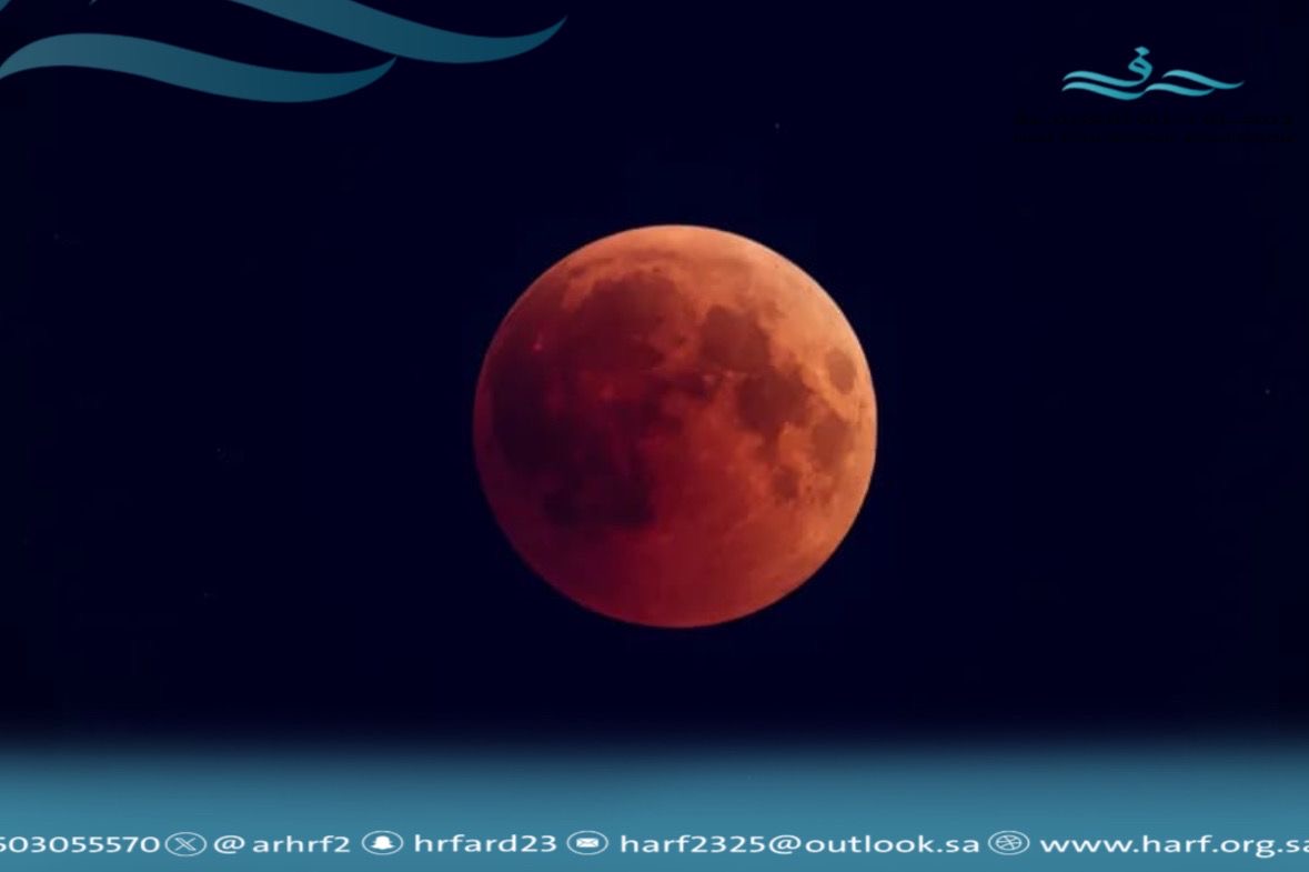 جمعية حرف التعليمية تنفذ فعالية الرصد الفلكي للخسوف الكلي للقمر بجازان 17 4e08af18 2971 40fe 8ca0 4690d35b2d23