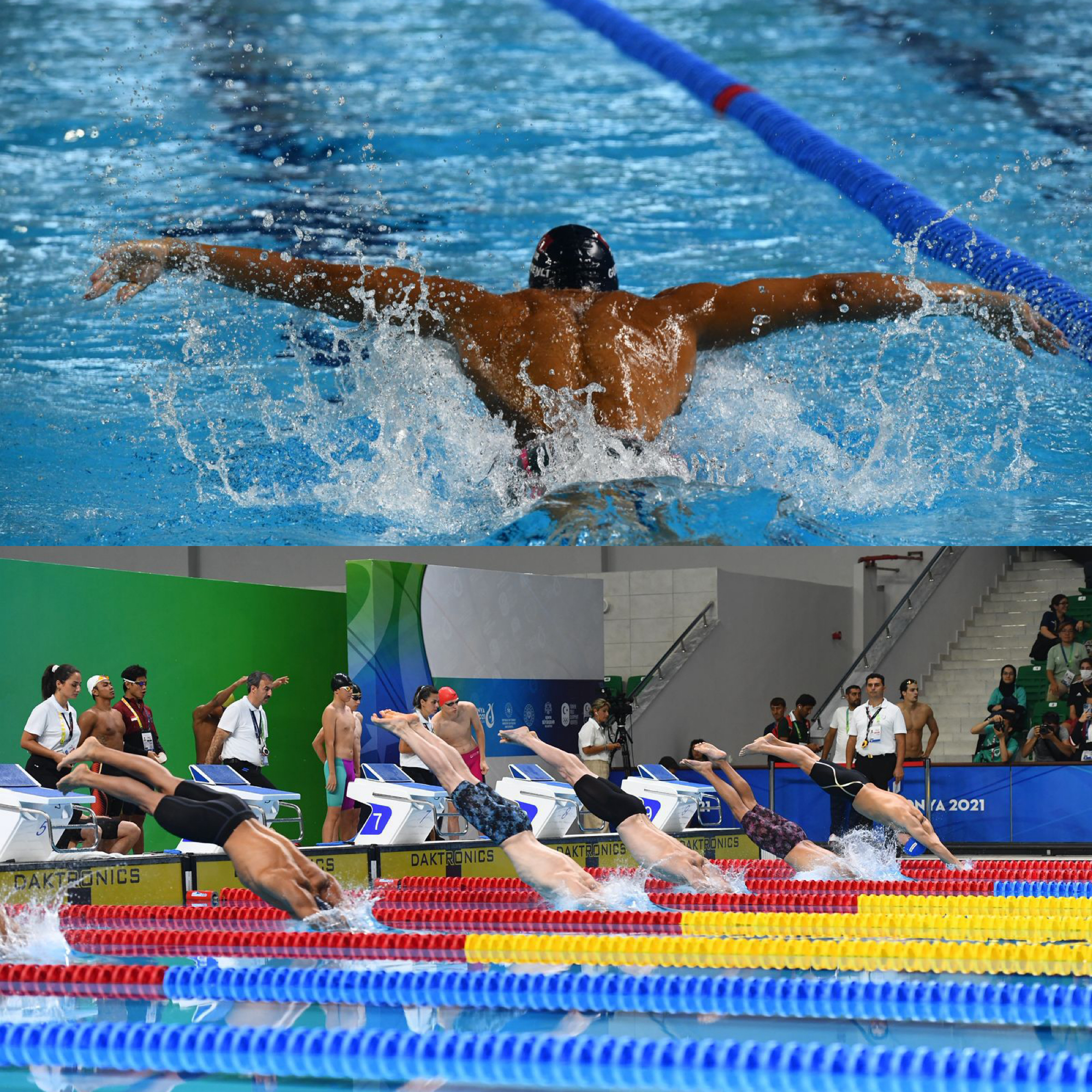 السباحة في الرياض 2025: إيقاع الماء وتتويج يومي 21 IMG 3725