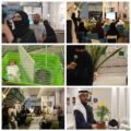 فريق بيئي التطوعي ينفذ لقاء “زراعة حديقة منزلي” تماشيا مع مبادرة السعوديه الخضراء