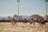 اليوم الأربعاء… انطلاق بطولة ريتشارد ميل العلا لبولو الصحراء